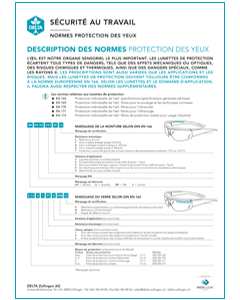 DELTA Factsheet protection des yeux